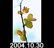 2004.10.30
