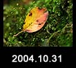 2004.10.31