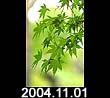 2004.11.01