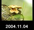 2004.11.04