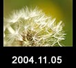 2004.11.05