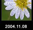 2004.11.08