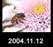 2004.11.12
