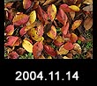 2004.11.14