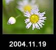 2004.11.19