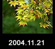 2004.11.21
