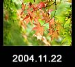 2004.11.22