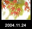 2004.11.24