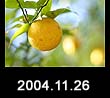 2004.11.26