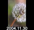 2004.11.30