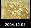 2004.12.01