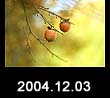 2004.12.03