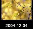 2004.12.04