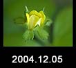 2004.12.05