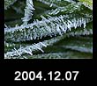 2004.12.07