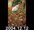 2004.12.12
