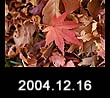 2004.12.16