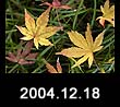 2004.12.18