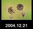 2004.12.21