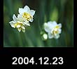 2004.12.23