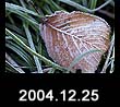 2004.12.25