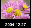 2004.12.27