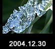2004.12.30