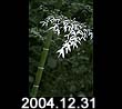 2004.12.31
