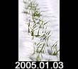 2005.01.03