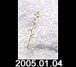 2005.01.04