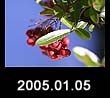 2005.01.05