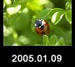 2005.01.09