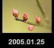 2005.01.12