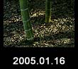 2005.01.16