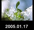 2005.01.17