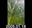 2005.01.18