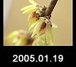 2005.01.19