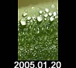 2005.01.20