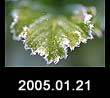 2005.01.21