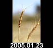 2005.01.23