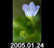 2005.01.24