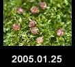 2005.01.25