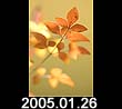 2005.01.26