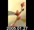 2005.01.27