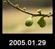 2005.01.29