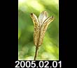 2005.02.01