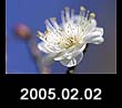 2005.02.02