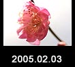 2005.02.03