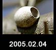 2005.02.04