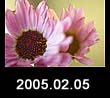 2005.02.05